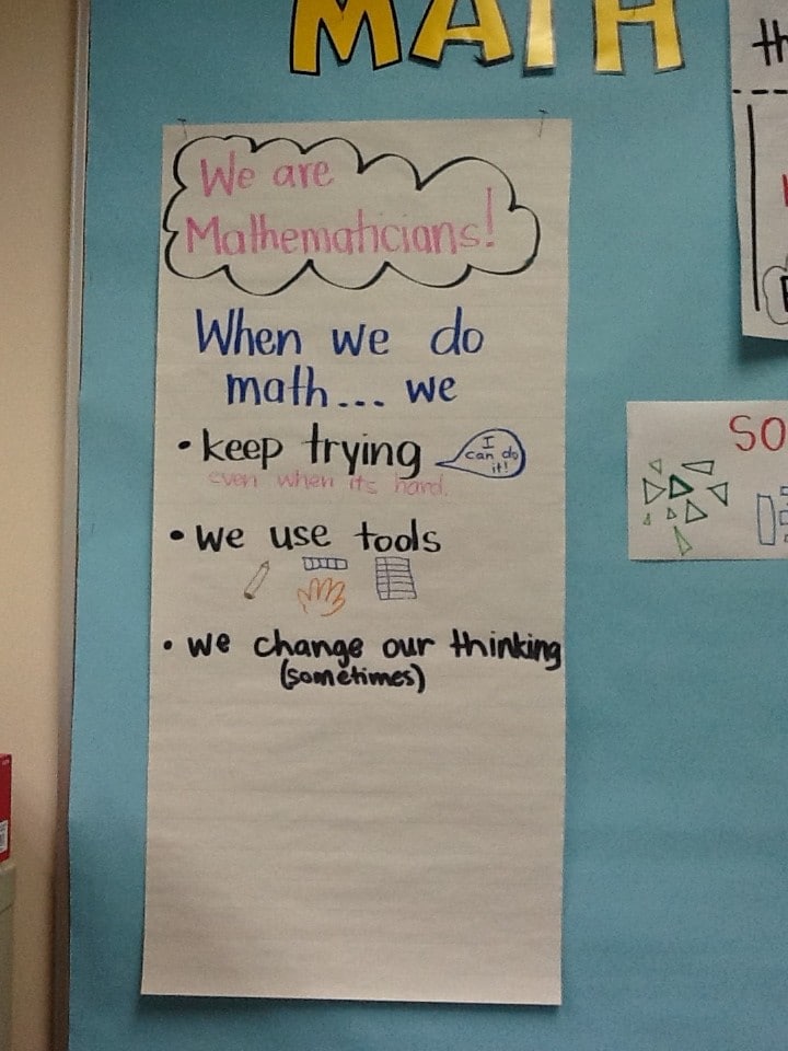 Math Chart - Focus on "What we do as mathematicians."